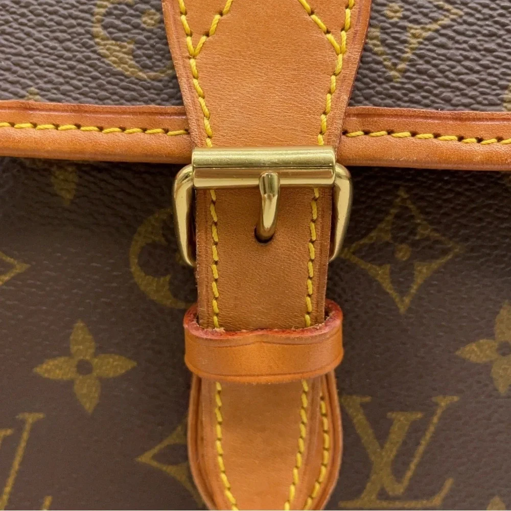 Louis Vuitton stylish louis